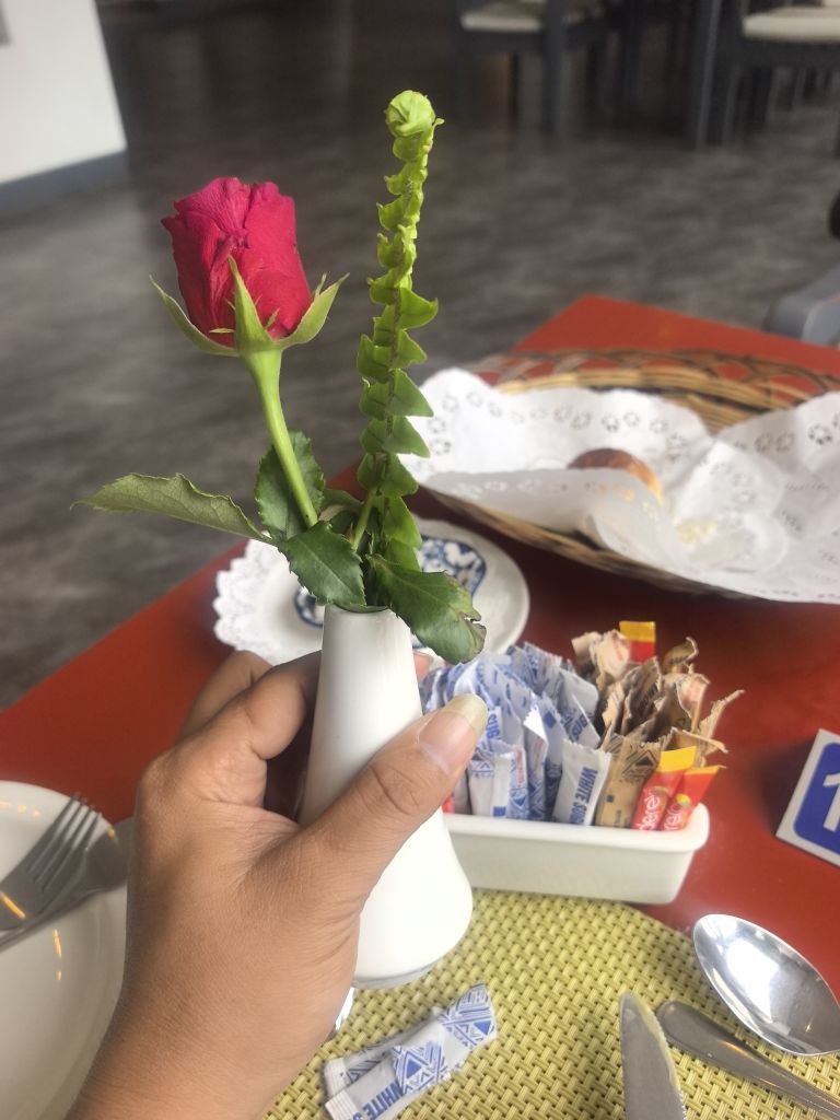 拽乄菲尔主播图片