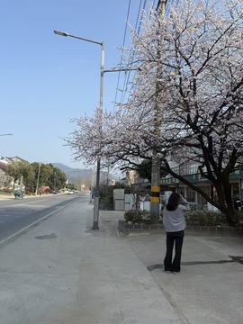 ♚小巴豆~贪财好色主播照片