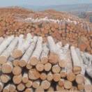 代你想去的地方？