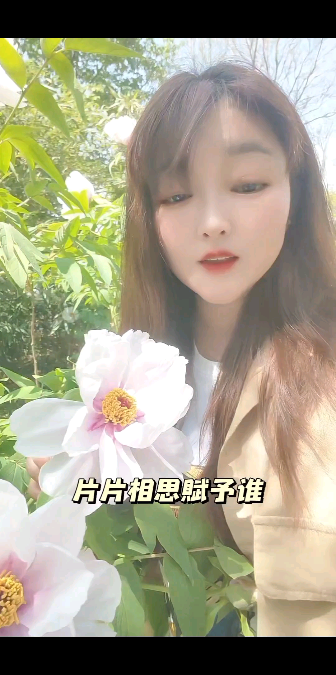 偏偏相思赋予谁