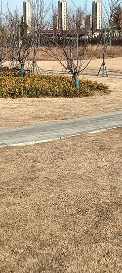 傲世_天下主播照片