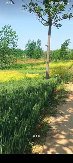 傲世_天下主播照片