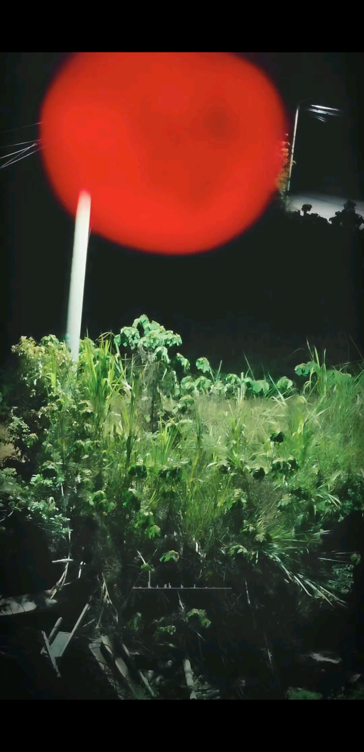 夜色漫过归途，一点暖