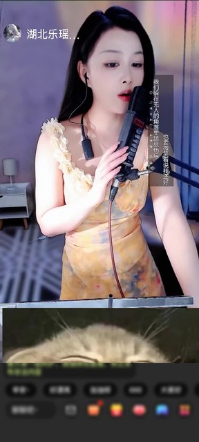 感谢拉链拉到底赠送野狼Disco5个