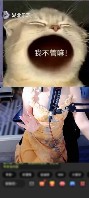 感谢拉链拉到底赠送吉象送宝1个