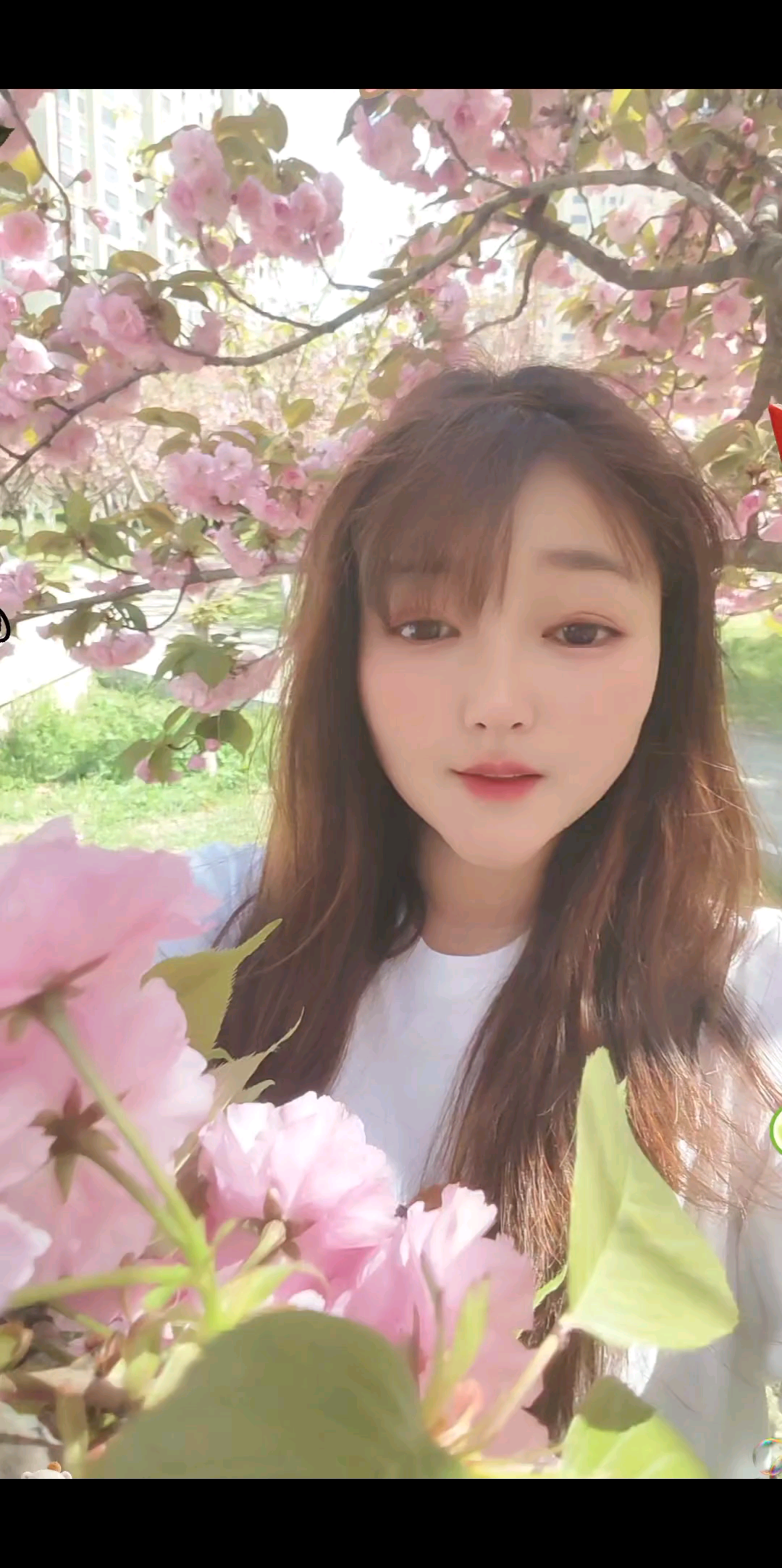 还记得年少时的梦吗？