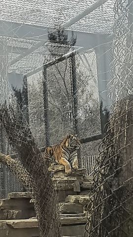 玥儿🐾求百元榜～的图片