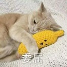 三月看烟雨