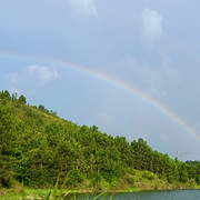 俗世奇緣（笙哥）的頭像
