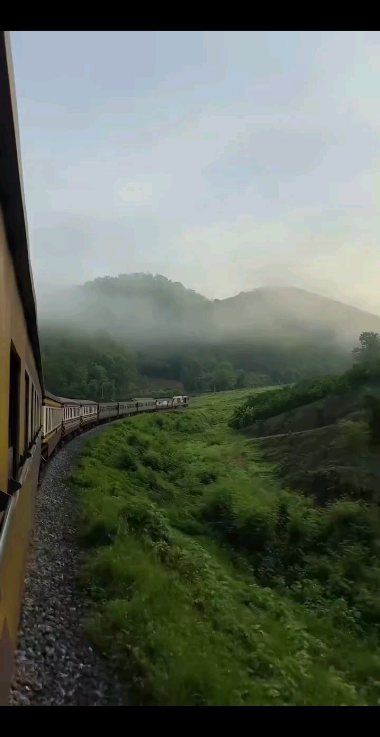 🍃ᴳᵒᵒᵈᵐᵒʳⁿⁱ