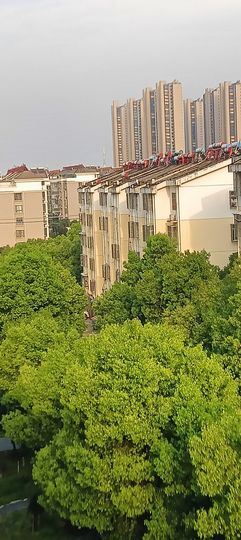 傲世_天下主播照片