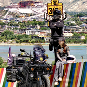 MZ🐗猛子的头像