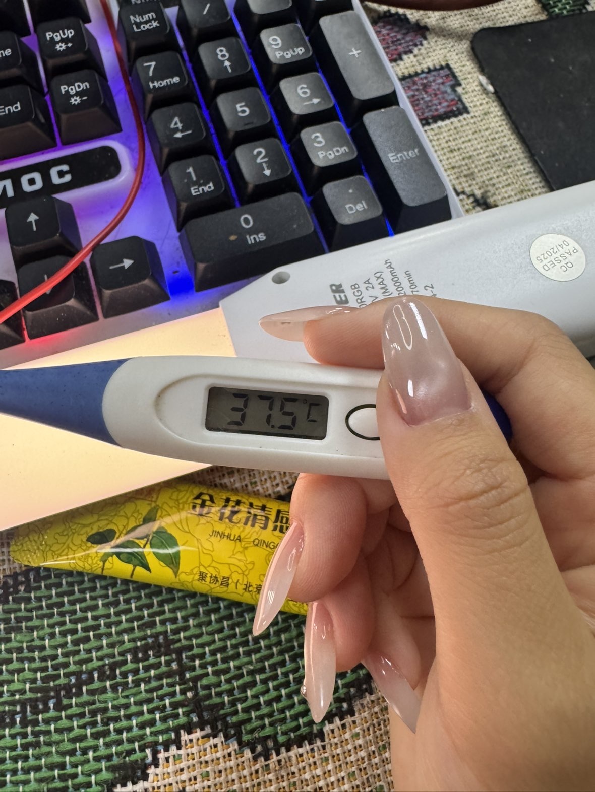 新人~海苔主播圖片