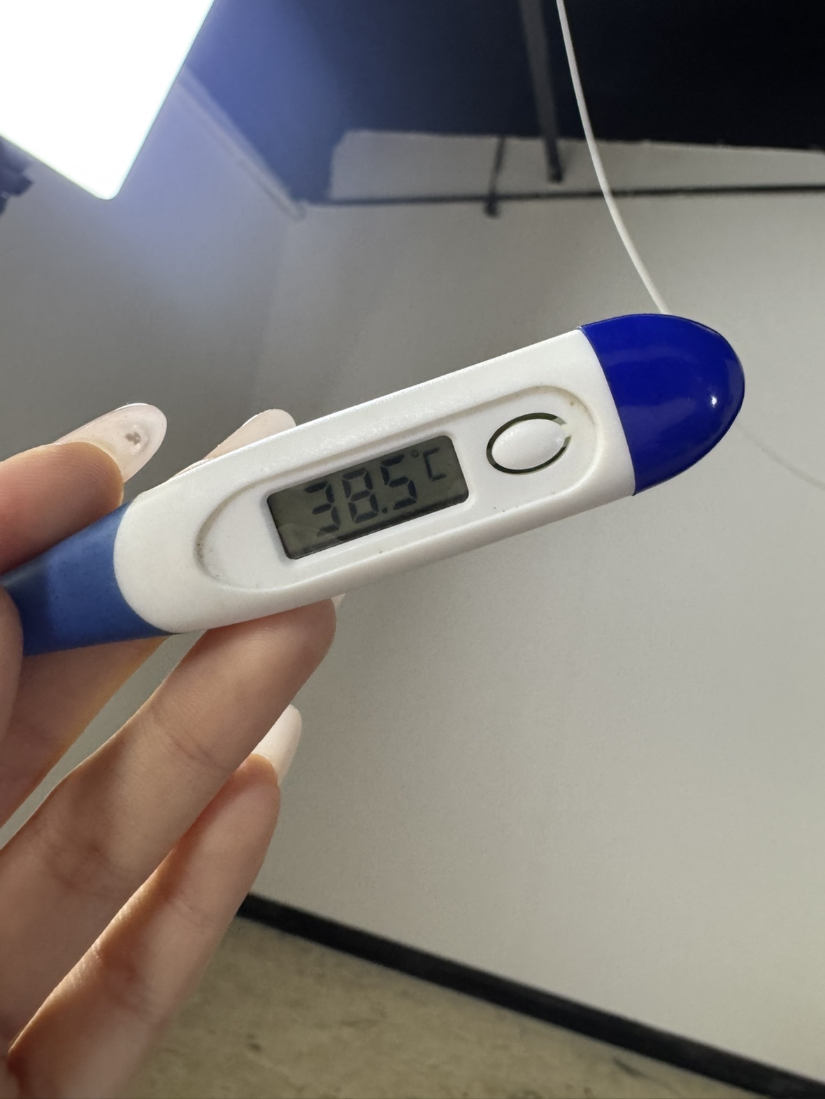 新人~海苔主播圖片