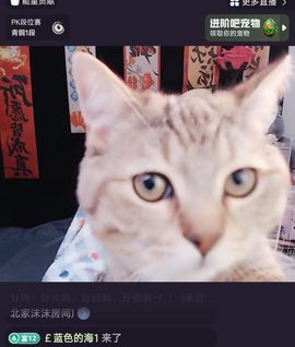 新人九万求百元的图片