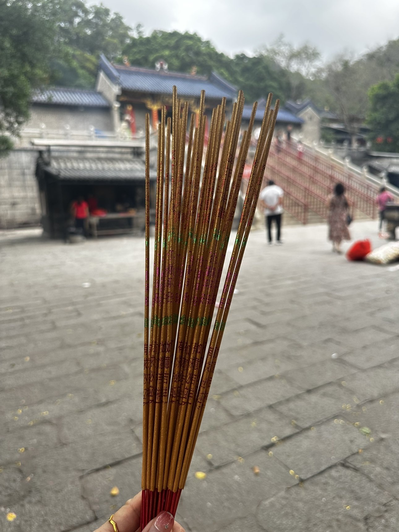 粤S💕初见梦主播图片