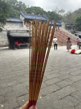粤S💕初见梦的图片