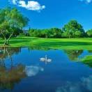 幻影谭家本的头像