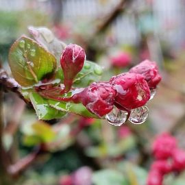 天王盖地虎虎044的图片