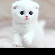 🍒凌微漫步🍒