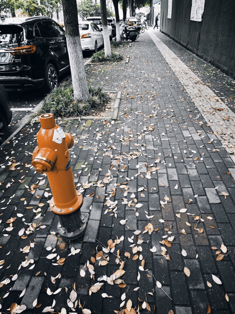 小雨點?主播圖片