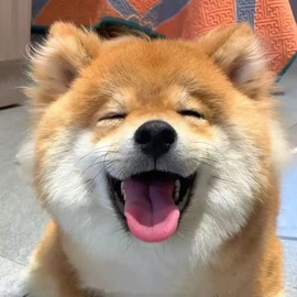 喂一口抱抱馨💌的图片