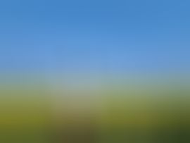 小雨點?主播圖片