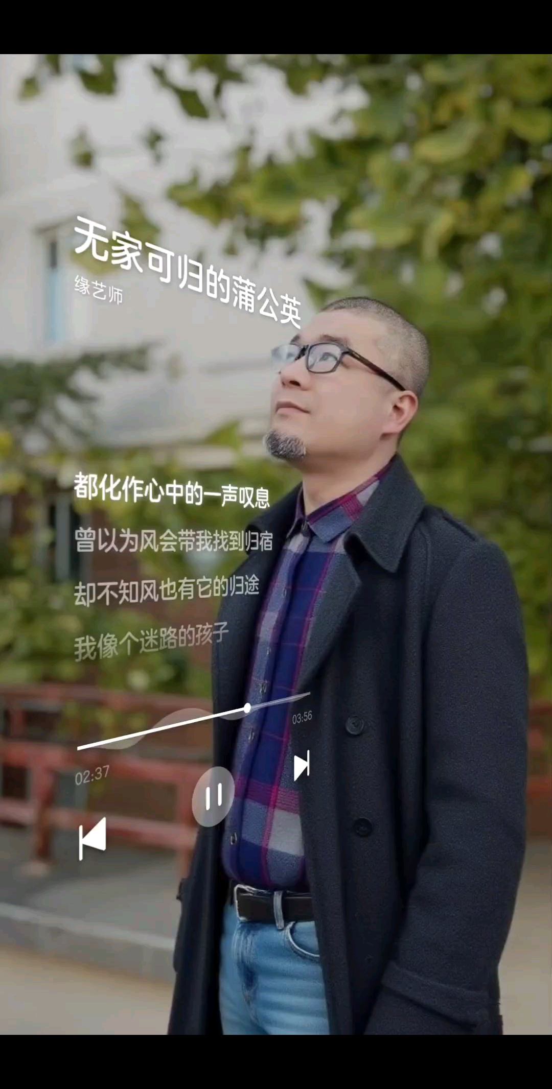 无家可归的蒲公英