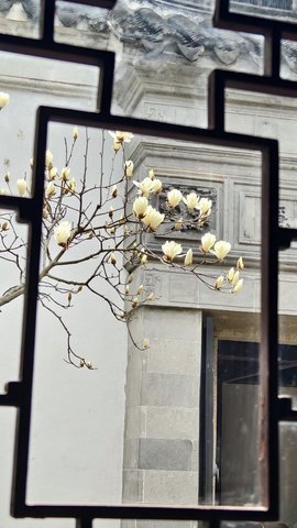 玖❤儿加油的图片