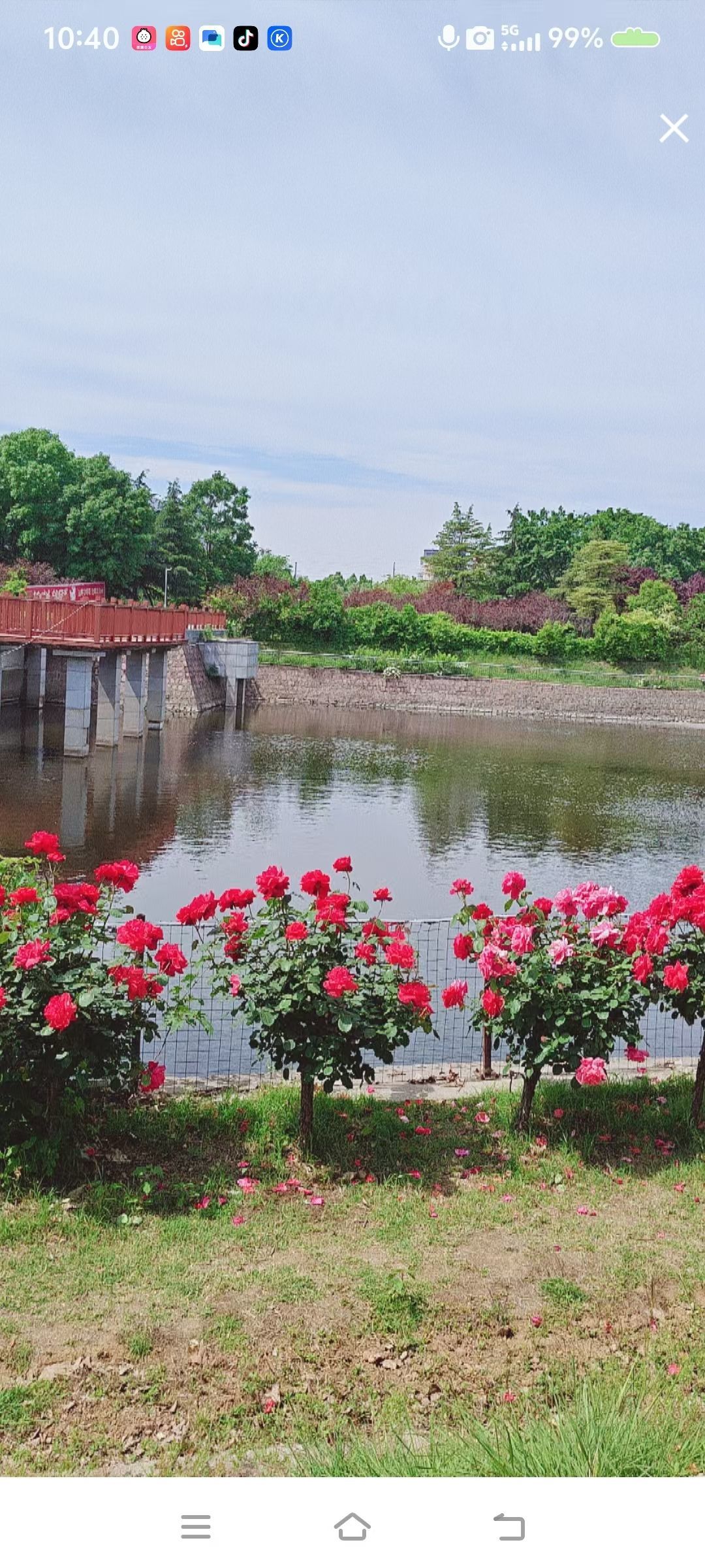 小芳，🌸的主播照片