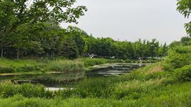 小芳，🌸的图片