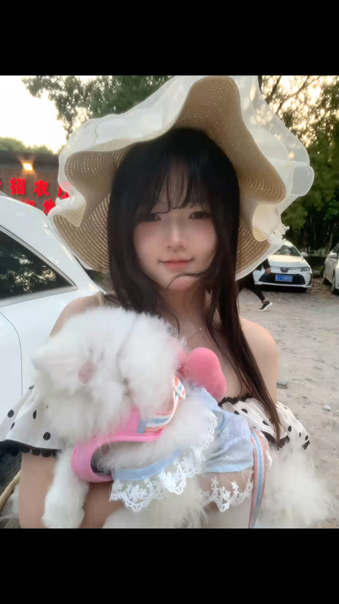 观看14次
