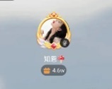 知恩🍄的图片
