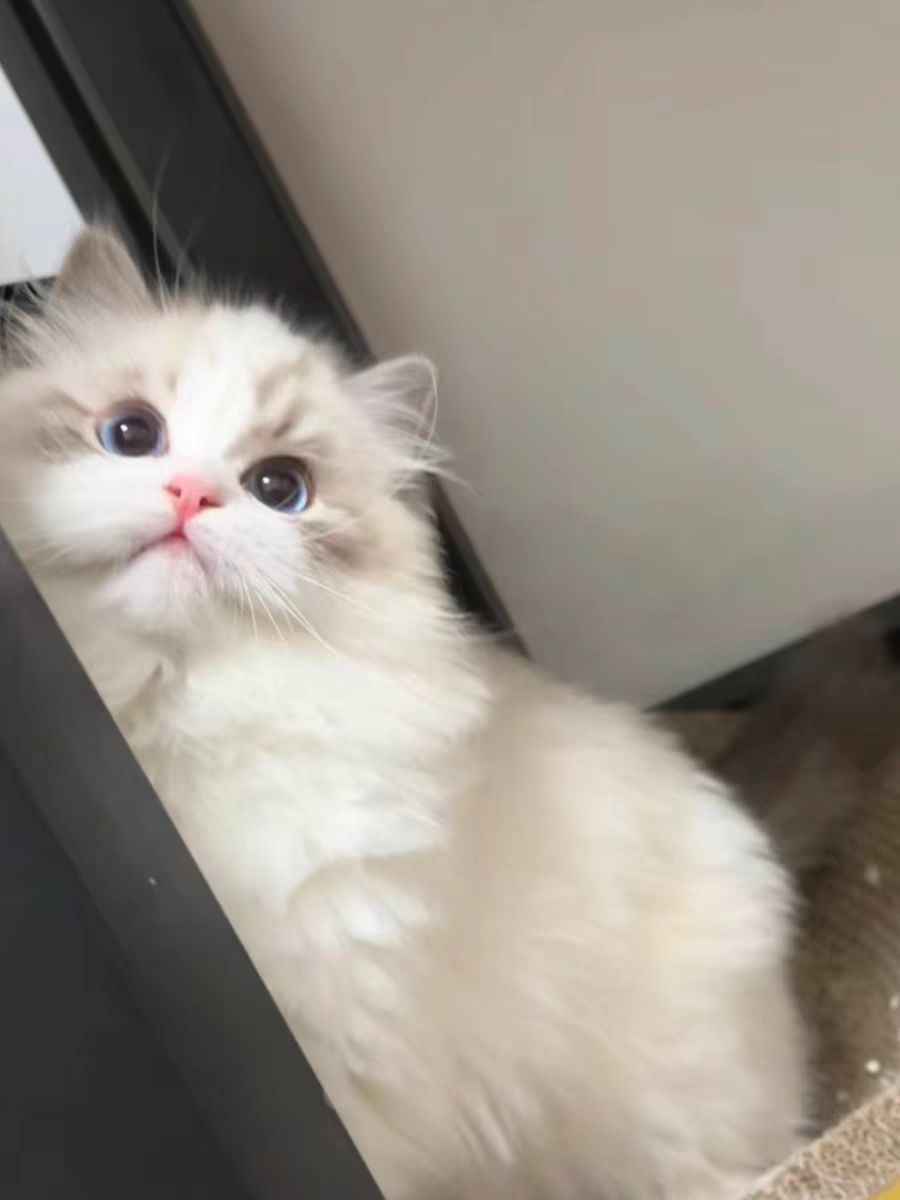 ☆诺熙💞很甜主播图片