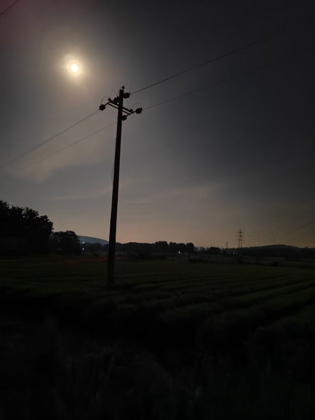 小芳，🌸的主播照片