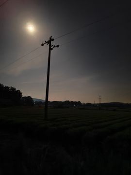 小芳，🌸的图片