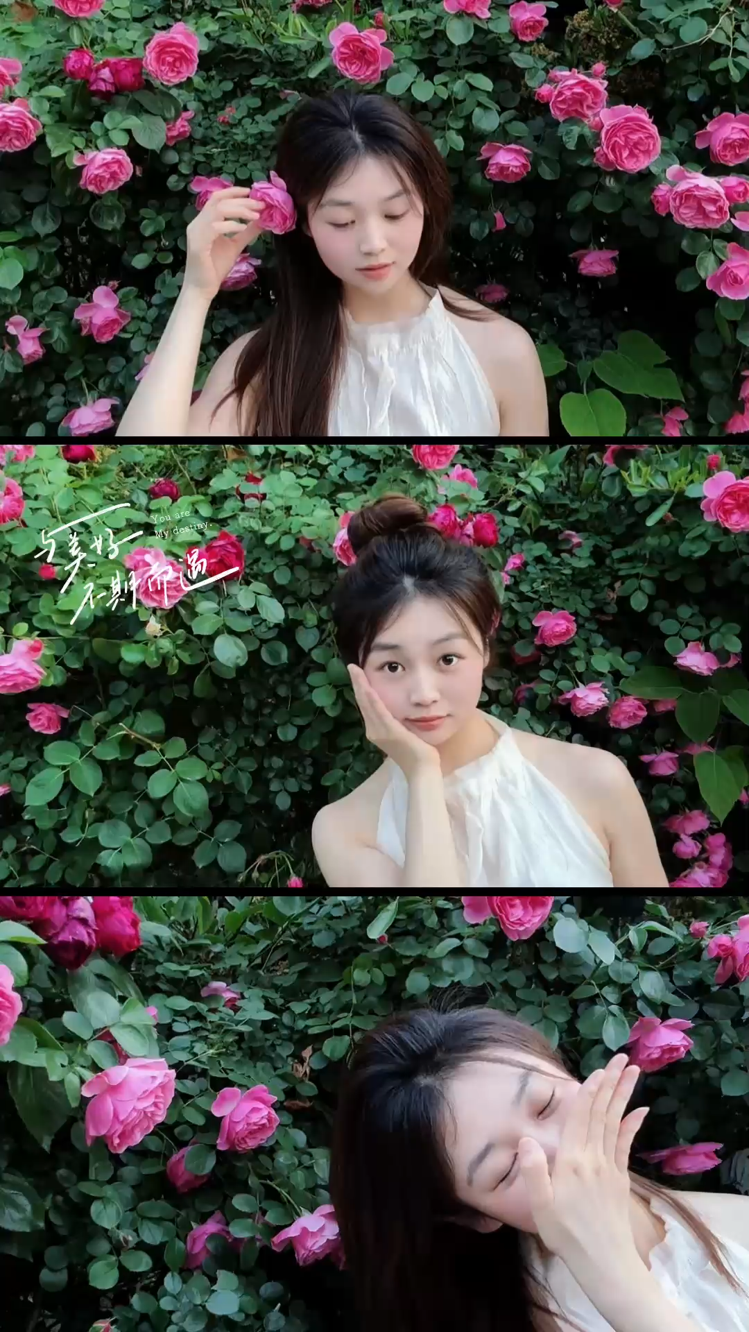 长这样