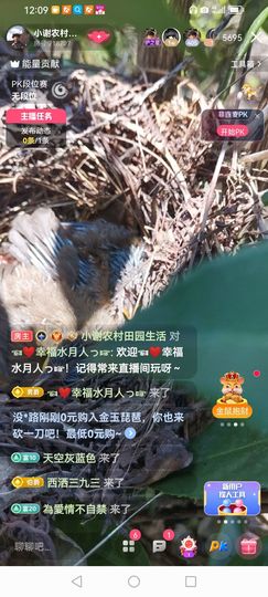 小谢农村田园生活的图片