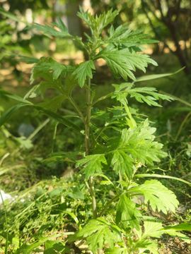 念念念念念念念念念主播照片