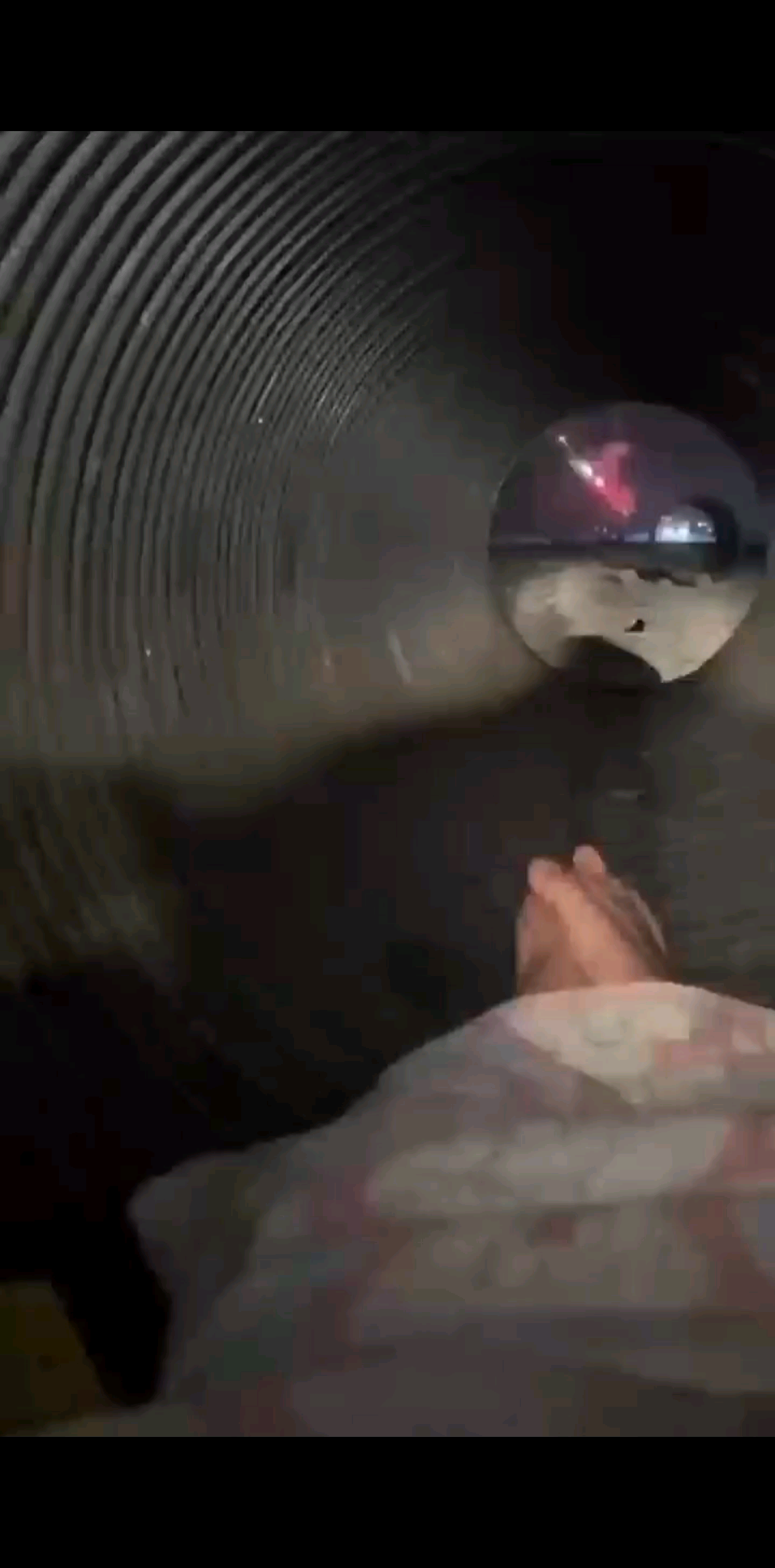 捡破烂的日子，哈哈