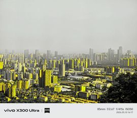 我是自由啊的图片