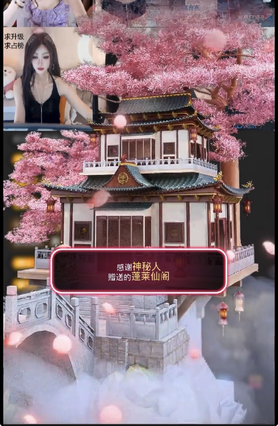 新人~海苔的主播照片