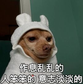 安二狗🐶晚上见主播照片