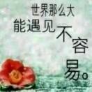 试试如意