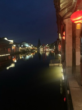 遗忘🌸的图片