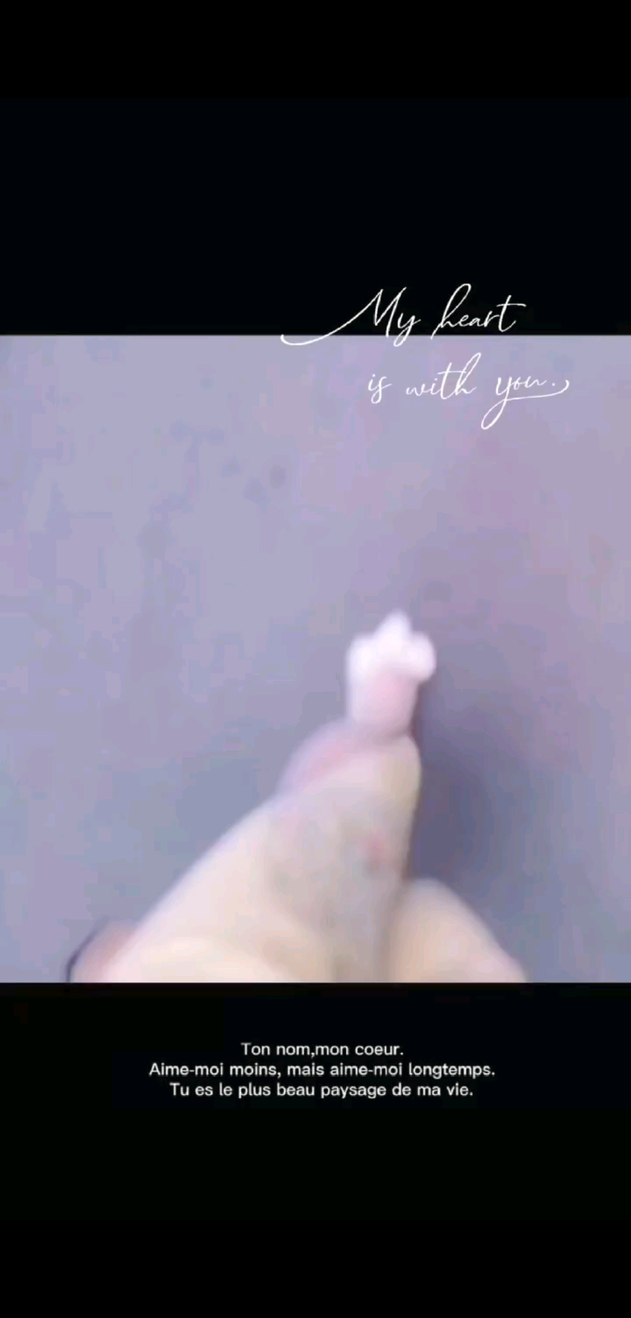 观看6次