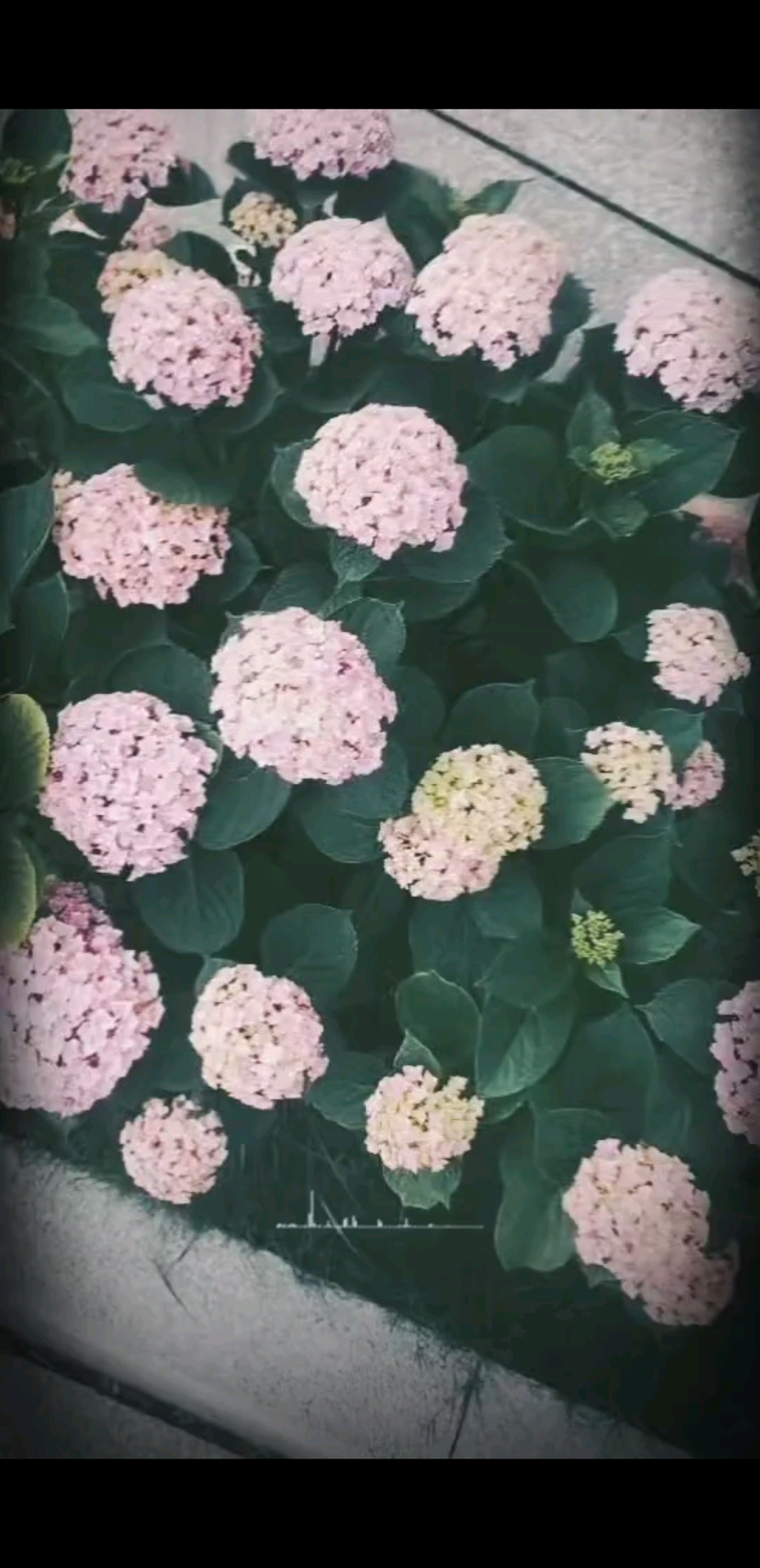 观看7次