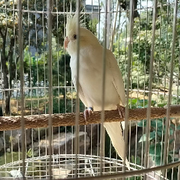 宝宝是唯一