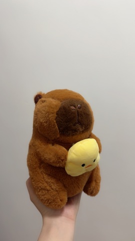 鸭鸭吖～🐰休的图片