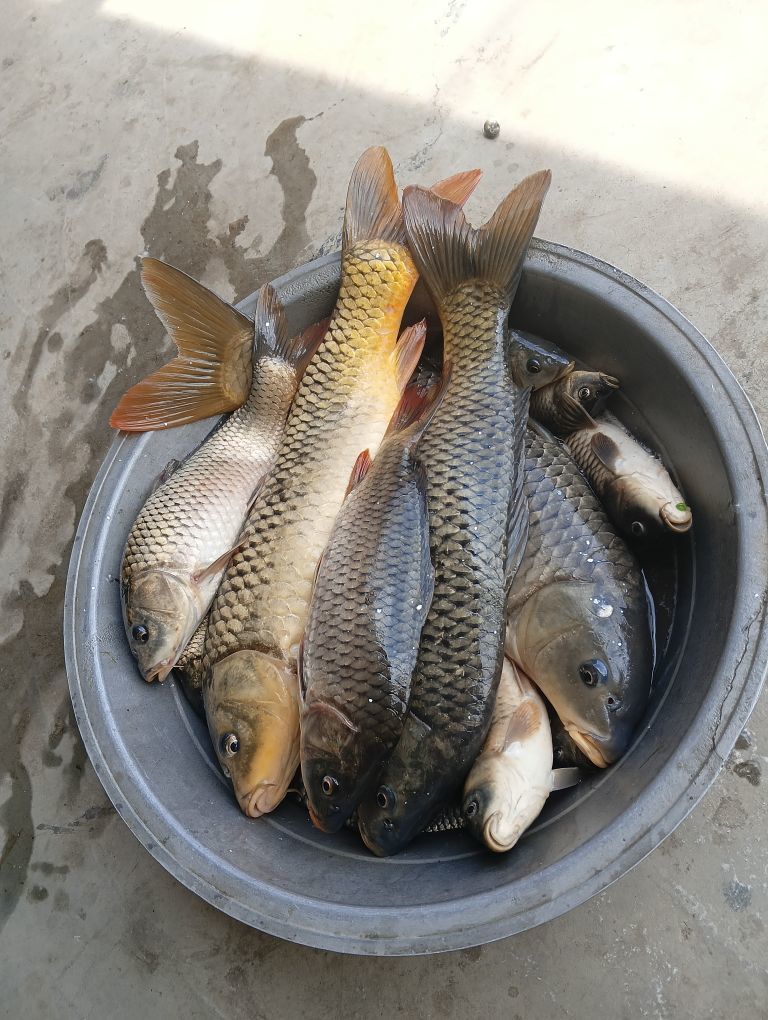 喜乐无忧😍主播图片
